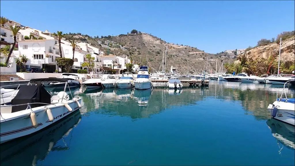Todimer Marina Adriana Almunecar